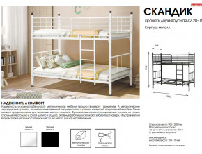 Кровать двухъярусная Скандик 42.20-01 в Карпинске - karpinsk.magazinmebel.ru | фото - изображение 2
